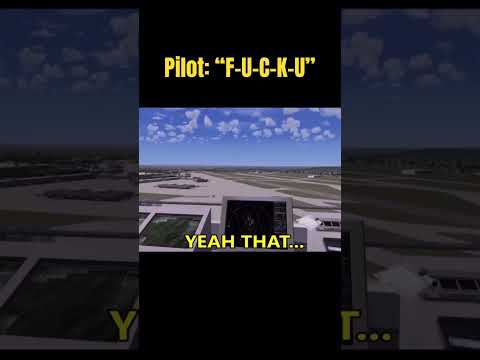 Pilot chooses chaos with air traffic controller