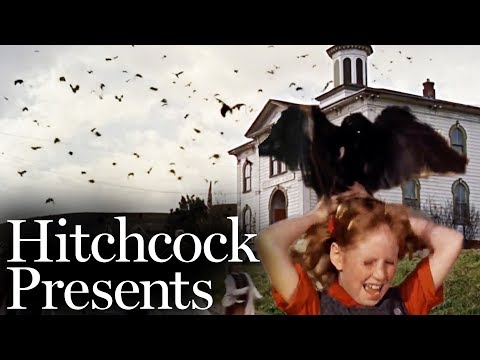School's Out - The Birds | Hitchcock Presents