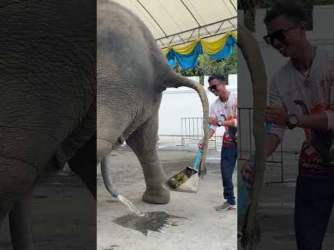 เหยียบๆๆๆ