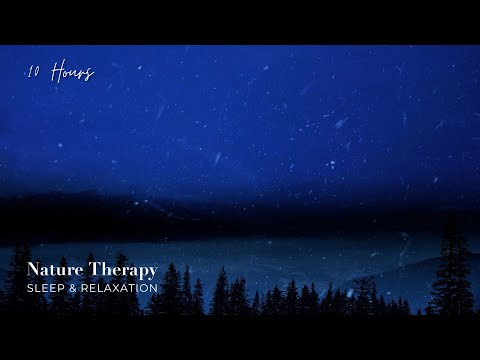 Blizzard Snowstorm Sounds for Relaxing & Sleeping | Strong Wind & Falling Snow Sounds (White Noise)
