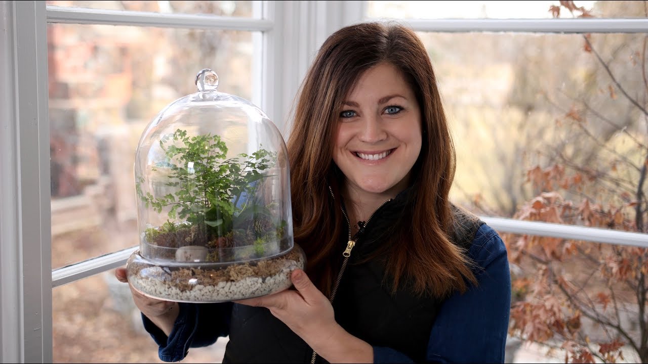 Putting Together a Terrarium with Ferns!