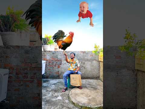 Flying crying babies Catching vs hen, parrot & puppy vs yellow lizard - Funny vfx magic 😄