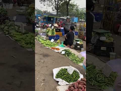 Khổ qua giá 5k/kg giá rẻ bất ngờ luôn