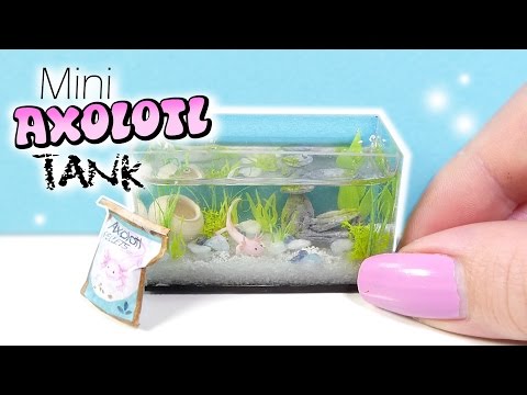 How To Mini Axolotl Tank Tutorial // DIY Miniature Aquarium