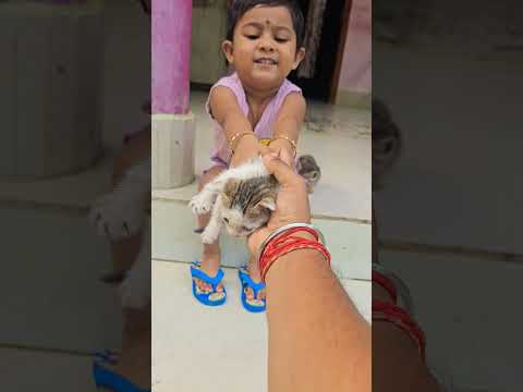 One is Yours, One is Mine #cute #cat #baby