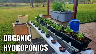 Planting out an Organic Hydroponics System