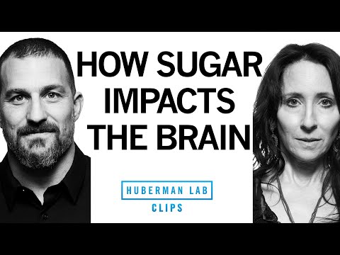 How Sugar & Soda Impact the Brain | Dr. Elissa Epel & Dr. Andrew Huberman