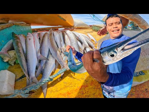 CARDUME GIGANTE DE PEIXES CARNÍVOROS ( DIEGO PESCADOR AMADOR)
