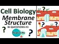 Membrane Structure and Cholesterol Effects
