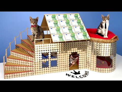 I Gave Homeless Kittens $1,000,000 House