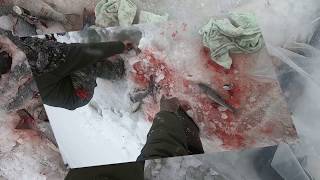 видео