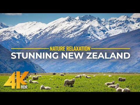 Fabulous Landscapes & Wildlife of New Zealand | 4K HDR Coastline Scenery & Real Nature Sounds