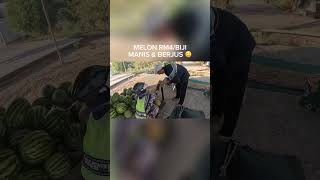 Musim panas di Uzbekistan memang Syurga buah! 🤤🤤🤤 #jiwakembara