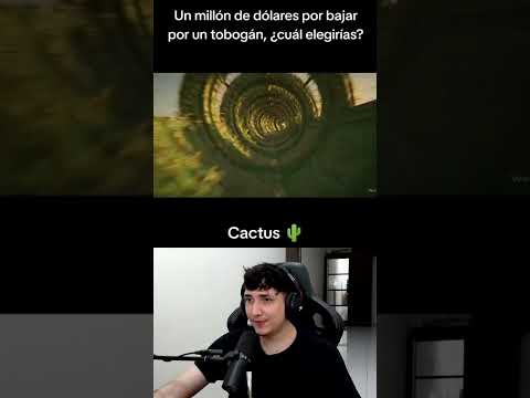 POR CUAL TOBOGAN BAJARIAS POR 1 MILLON DE DOLARES? #humor #shortsviral #shorts