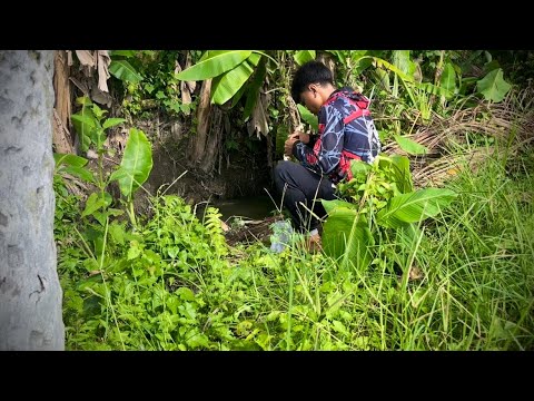 3 hari berburu ikan dan burung, Kuras genangan air, mancing&masak!! 🐠🥰