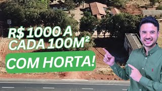 É possível faturar R$ 1000 por mês com horta?