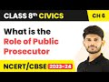 पब्लिक प्रॉसिक्यूटर का रोल