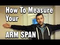 Understanding Armspan Measurement