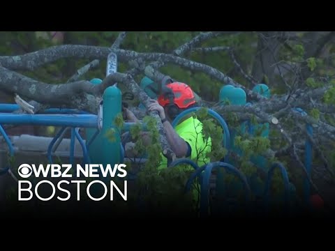 YouTube video thumbnail: Boy Dies From Injuries After Tree Falls on Playground at Massachusetts School
