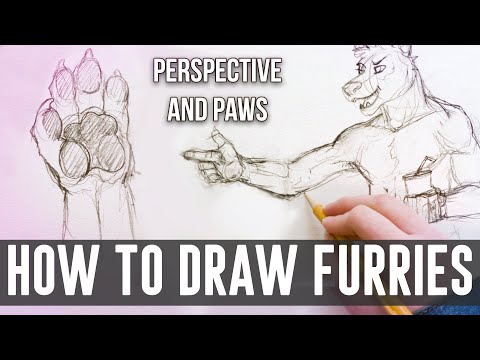 How to draw furries for beginners: The secret to drawing ...