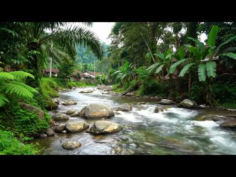 Gentle Water Flow | Natural Sounds for Relaxation & Meditation