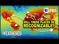 Climate Change Impacts and Consequences