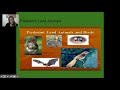 Adaptations and Habitats in Piedmont