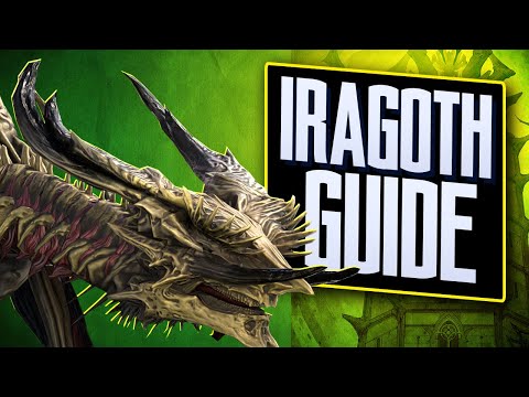Iragoth The Eternal Dragon Doom Tower Guide I Raid Shadow Legends