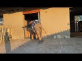 Morning Routine and Activities at the Orphanage