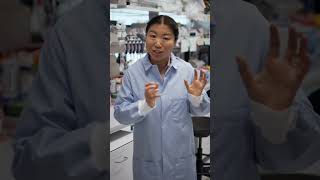 Prof. Lingyin Li: ‘Every failed experiment is a chance to learn faster’