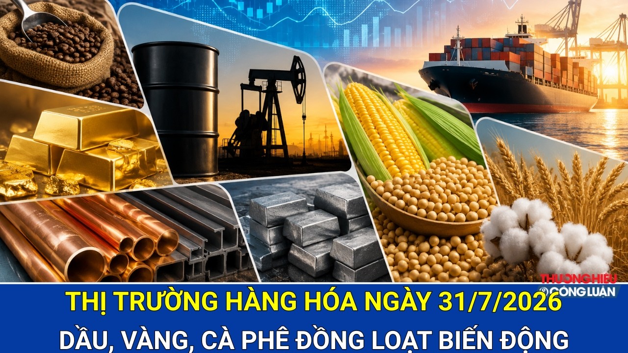  Bản tin giá cả hàng hóa 31/7/2026: Dầu, vàng, cà phê đồng loạt biến động