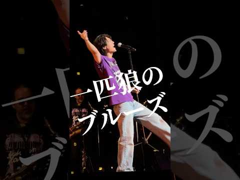 今週末はNHK BS「演歌フェス2025」初回放送⚡️12月27日17:00からです!お見逃し無く👀✨️#真田ナオキ #一匹狼のブルーズ