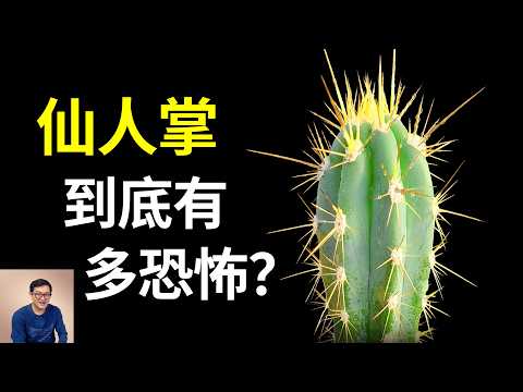世界上最恐怖的入侵植物,仙人掌最驚人的那些秘密!堪稱植物界的駱駝,仙人掌果(刺梨)和火龍果什麼區別?【老肉雜談】#生物 #植物 #仙人掌 #知識 #科普
