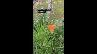 Les soldes démarrent aujourd’hui chez Orange🧡