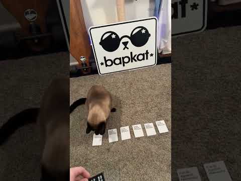 Cards Against Humanity