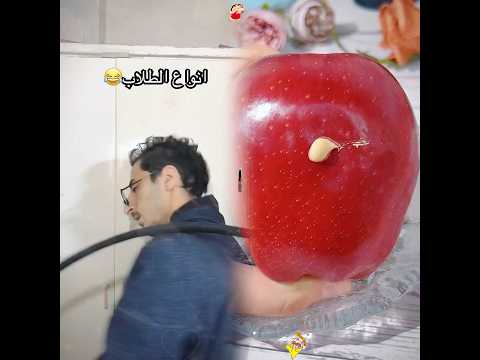 انتوا طلاب اني مقعد 😂؟