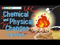 Exploring Chemical and Physical Changes
