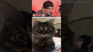 Try not to Laugh 😂😹 | 529 #funny