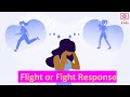 Understanding the Fight or Flight Response