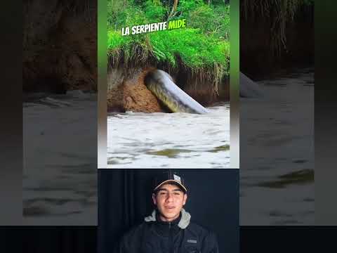mira lo que vió este pescador #dúo #maizzando #noticias