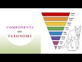 Taxonomy and Nomenclature Concepts