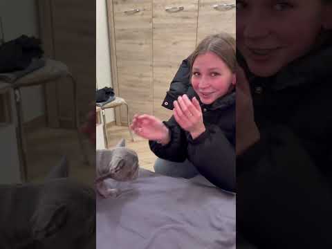У нас появился ребёнок ❤️ #французкийбульдог