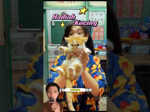 HADIAH KUCING #funny #dubbing #shorts