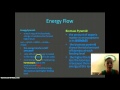 Ecosystem Interactions and Energy Flow