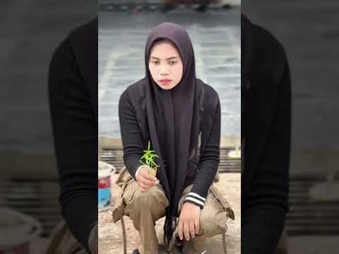 Cinta segi empat #shortvideo