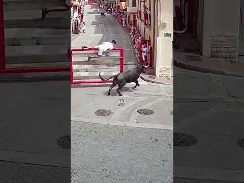 😱 Que suerte tuvo! Se le volvió el Toro!