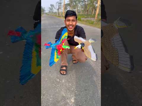 Remote control eagle vs parrot 🦜