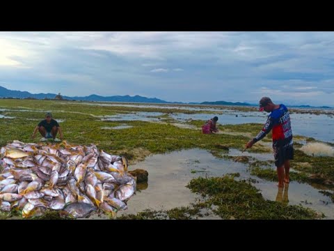 TUMAMBAD SA AMIN ANG MGA ISDANG NAHIBASAN