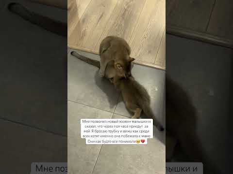 Больше в инст: vladislava_go 🐾