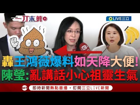 一刀未剪│王鴻薇是法院認證愛亂爆料的人！瞎扯布農族女醫師有「粉味」慘遭打臉 現又影射前助理涉綁標 陳瑩反嗆薇指控如「天上掉下的大便」轟：亂講話祖靈會生氣│【焦點人物大現場】20241114│三立新聞台